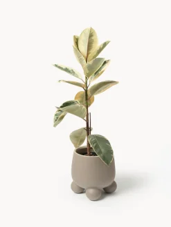 Westwing Collection Macetero Olea, 26 cm