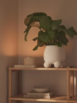 Westwing Collection Macetero Olea, Al 26 cm^ Maceteros|Jarrones