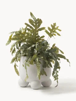 Westwing Collection Macetero Olea, Al 26 cm^ Maceteros|Jarrones