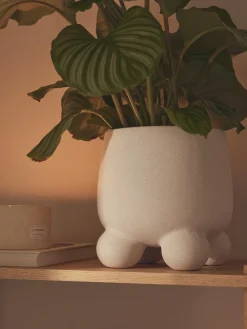 Westwing Collection Macetero Olea, Al 26 cm^ Maceteros|Jarrones