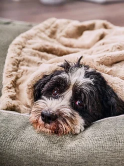 Laboni Manta acolchada para mascotas Cozy, tamaños diferentes
