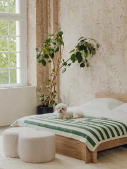 Noo.ma Manta Onu^ Mantas