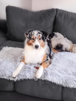 Wahre Tierliebe Manta para mascotas de borreguillo Fluffy, tamaños diferentes