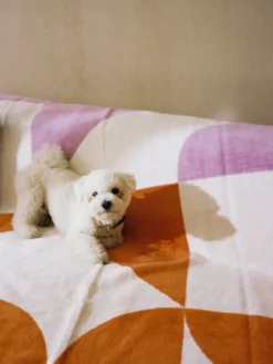 Noo.ma Manta Tul - terracota, crema y lila