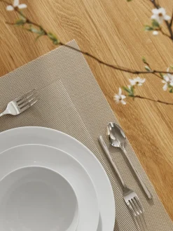 ASA Selection Manteles individuales de plástico Trefl, 2 uds.^ Manteles Individuales|Vajillas Completas