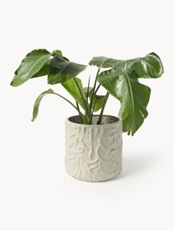 DBKD Olla grande Swoon - Mole^ Maceteros|Jarrones