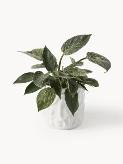 DBKD Olla pequeña Swoon - brillante^ Maceteros|Jarrones