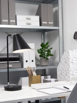 Bigso Box of Sweden Organizador de escritorio Birger^ Material De Oficina|Material De Oficina