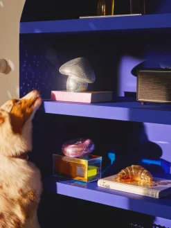 Westwing Collection Pieza decorativa brillante Disco Croissant