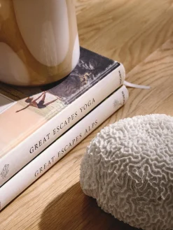 Westwing Collection Pieza decorativa de diseño Coral^ Figuras Decorativas|Jarrones