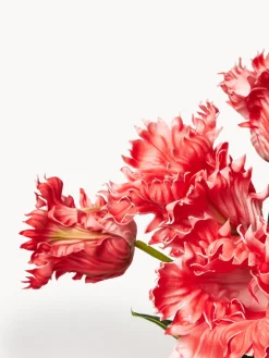 Botané Ramo de flores artificiales Tulipán Parrot