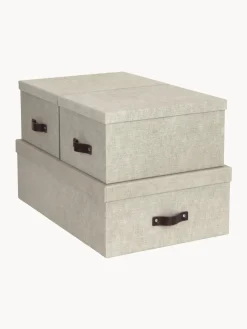 Bigso Box of Sweden Set de cajas Inge, 3 uds.