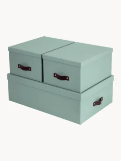 Bigso Box of Sweden Set de cajas Inge, 3 uds.