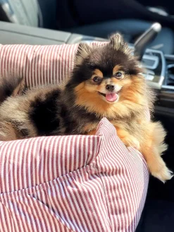 Wahre Tierliebe Sofá para mascotas con cinturón de seguridad Premium, tamaños diferentes