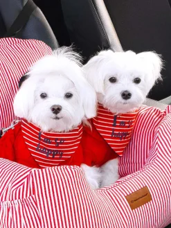 Wahre Tierliebe Sofá para mascotas con cinturón de seguridad Premium, tamaños diferentes