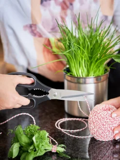 RÖSLE Tijeras de cocina
