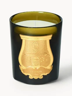 Trudon Vela perfumada artesanal Cyrnos (higo negro, madera de cedro, lavanda & pino)