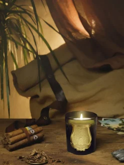 Trudon Vela perfumada artesanal Cyrnos (higo negro, madera de cedro, lavanda & pino)