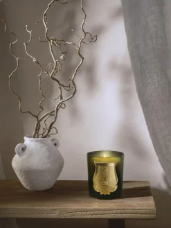 Trudon Vela perfumada artesanal Cyrnos (higo negro, madera de cedro, lavanda & pino)