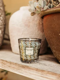 Baobab Vela perfumada My First Brussels^ Velas Perfumadas|Jarrones
