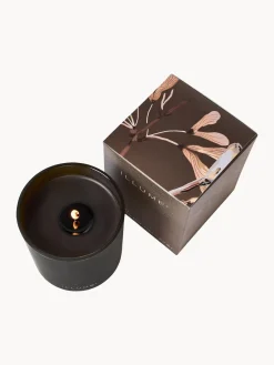 Bloomingville Vela perfumada Refill (madera de cedro, gamuza & ámbar)^ Velas Perfumadas|Jarrones
